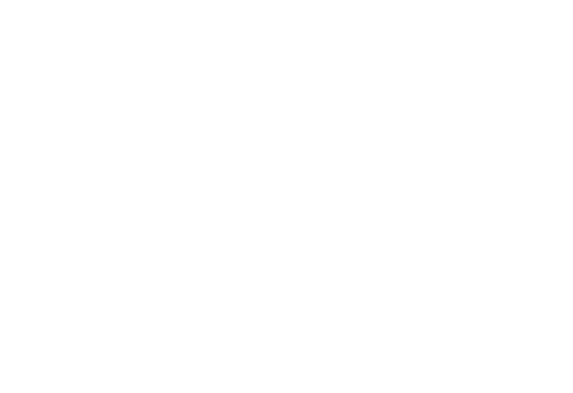 Phoenix_Logo